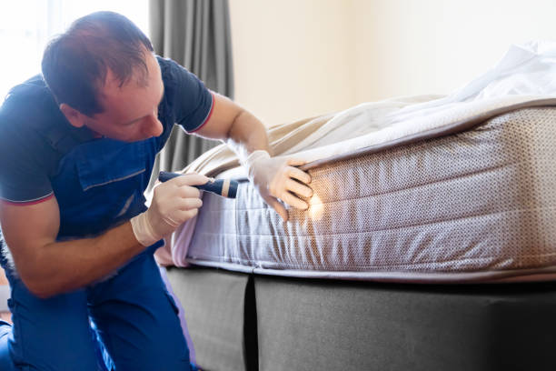 Best Bed Bug Extermination  in USA